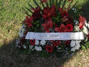 2012 11 01 NOVEMBRE MAZARGUES  (17) PAR GUY MONTANER